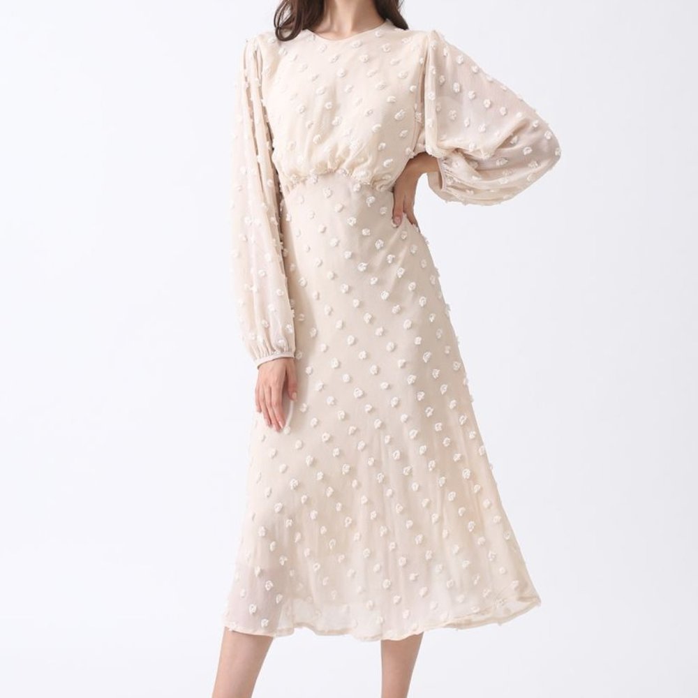 NWT Sheer Maxi Dress in Cream Dot